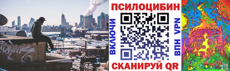 Псилоцибиновые грибы GOLDEN TEACHER  omg tor  Красный Холм 